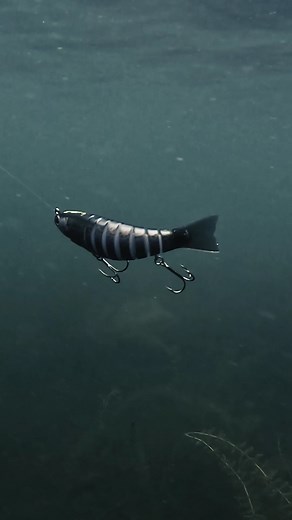 287K views · 696 reactions | This thing is a TRIPPY big-bite getter ‍ Featured: Biwaa S’Trout | Wired2Fish | Facebook