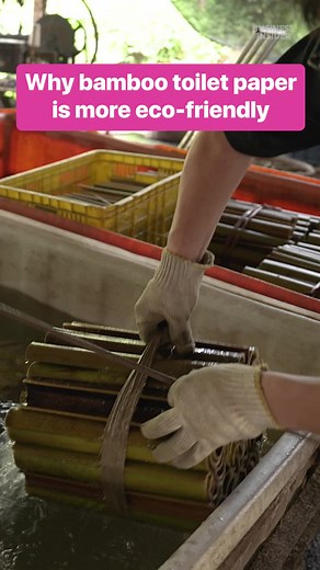 Unlike trees, #bamboo can regrow from its roots after it's cut down, and it can be harvested every few years. #ecofriendly #sustainability