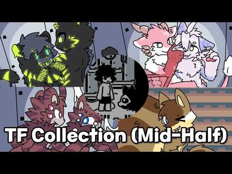 Mid-Half TF Collection (Changed Special Edition)