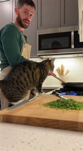 Cat Saves Owner from Exploding Microwave 🐱⚡️🔥 #funny #cute #cat #shorts #heroic