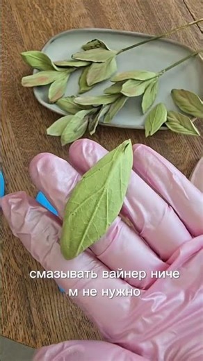 Использование вайнера для ЗЕФИРНОЙ ЛИСТВЫ от Инны @zefirnaya_estetika.msk