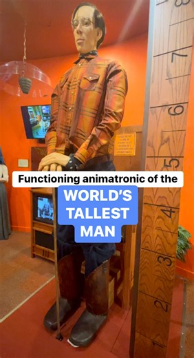 2.1K views · 11 reactions | Robert Wadlow was the tallest man that ever lived and they have an animatronic of him at Ripley’s Believe It Or Not #animatronics #ripleysbelieveitornot #dallas | In The Loop | Facebook