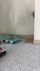 2.6K views · 3 comments | A Beginners guide ✅ - How-to install underlay ready for Carpet#flooring #howto #diy #tips #tricks #teirnanmccorkell #carpet #pov #tutorial #manchester #didsbury #fyp #fup #reel #reels | Teirnan McCorkell | Facebook