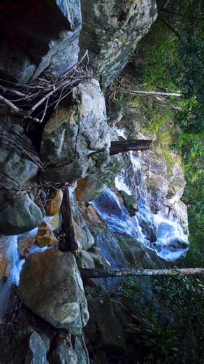 Cinematic Nature in 4K 🌄 | Peaceful Natural Scenery | Relaxing Visual Journey 🌿✨