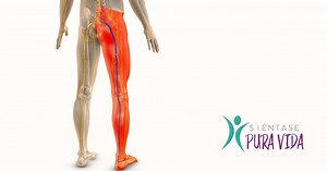 ¿Qué causa la ciática y cómo aliviar el dolor?