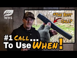 Best Deer Call To Use WHEN