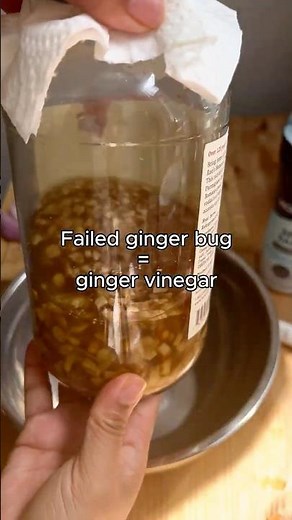 Failed ginger bug turns into ginger vinegar.