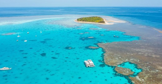 Lady Musgrave Island Camping | Island Transfers | Great Barrier Reef