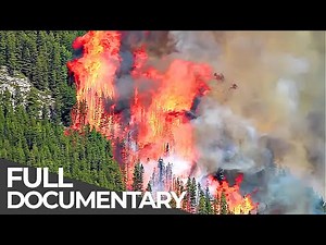 Deadly Disasters: Wildfires | World's Most Dangerous Natural Disasters | Free Documentary