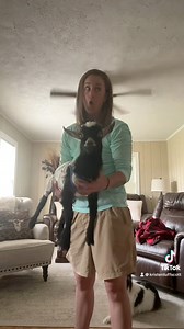 Gotta love some Johnny! Finn is over my mess! #funnymoments #funnyreels #comedy #jokes #funnymemes #goats #farmlife #pets | Kristen Tuff Scott