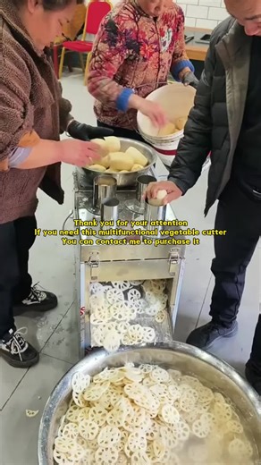Multifunctional vegetable cutter, welcome to contact us!#vegetablecutter #commercialslicer #fyp