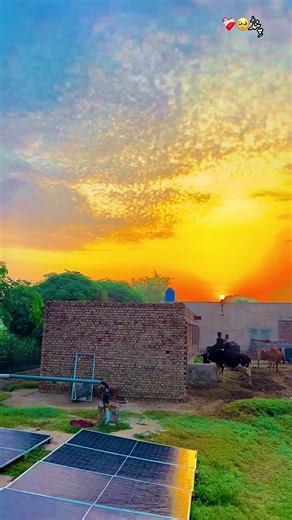 @♡𓆩وِکی سپرا𓆪♡ Pind🥹❤️‍🩹😭#fyp #fypシ゚viral #video #viral #pindaale