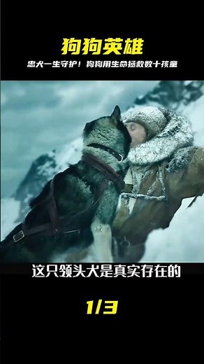 淚崩！這條狗奉獻一生，奇跡拯救幾十個孩子，它是我見過最棒的家人 #电影 #电影解说 #影视 #影视解说 #剧情