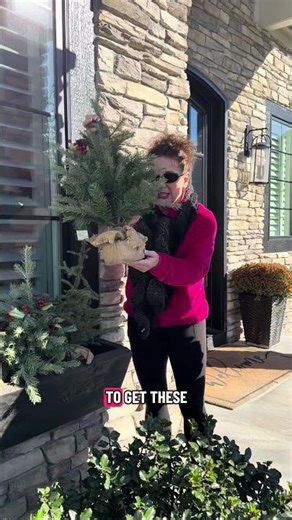 The easiest way to decorate your window boxes!