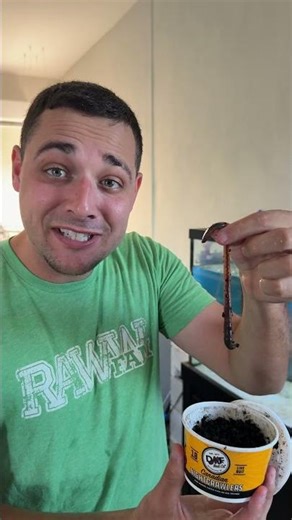 Feeding Baby Jaws For The First Time!!