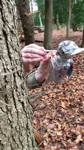 Footage of a little bird puppet. Made of a recycled bottle, card and newspaper.