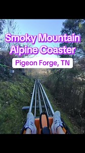 Experience the Thrills of Smoky Mountain Alpine Coaster