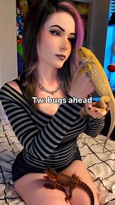 And then she’ll even start raising her own bugs for her lizards 😈#beardeddragons #petlizard #beardies | Danielle Beaulieu