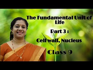 CLASS9: THE FUNDAMENTAL UNIT OF LIFE: PART3: CELL WALL, PLASMOLYSIS, NUCLEUS