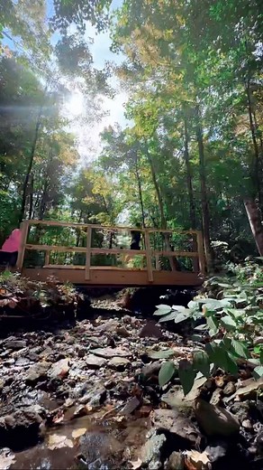 Family Fun Run 5K Saturday, November 4th at 8am 🇺🇸Supporting our Veterans 🇺🇸 Something for the whole family! Choose just one or do them both. 5K Road Race & 5K Trail Run! 🏃‍♀️$40 (single race, includes shirt & medallion) 🏃$65 (both races, includes shirt & medallion) 🪖FREE Kids Obstacle Course (8-14 years old) Register Online: https://runsignup.com/Race/OH/Lebanon/VeteransConnect5kTrailRun | Countryside YMCA