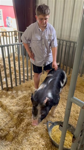 Let’s Rodeo, San Antonio! Out at the swine barn at the rodeo on opening day. These kids & pigs are from Valley View FFA in North Texas. | Joe DeCarlo WX