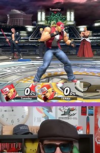 Terry beginner guide and combos