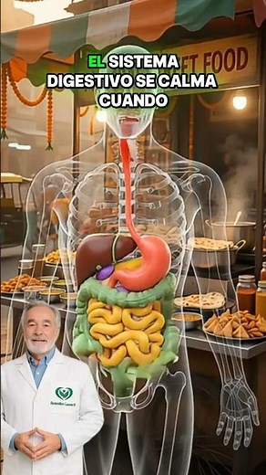 🌿 How to calm your digestive system naturally #digestivesystem #digestion #sensitivestomach
