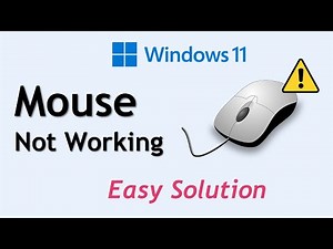 Mouse Not Working Windows 11 [Fix]