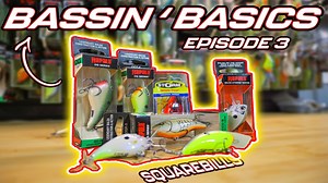 51K views · 813 reactions | Square Bill Fishing 101 - Jacob Wheeler Tips | Jacob Wheeler | Facebook