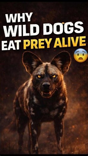 Why Wild Dogs Eat Their Prey Alive..☠️#shorts #animals