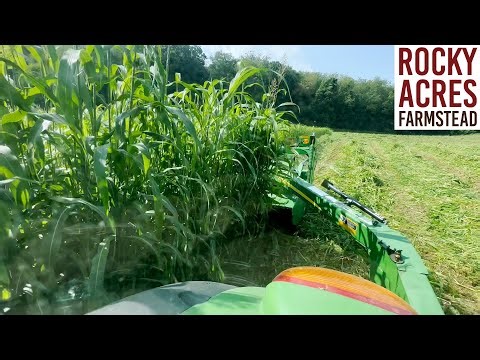 Mowing Sorghum Sudan And Second Cutting Hay! Hay Season 2023!
