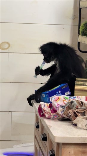 When Spidermonkey Rooster (5yr old) is in a mood. Y’all always say “you never show the bad” 😂