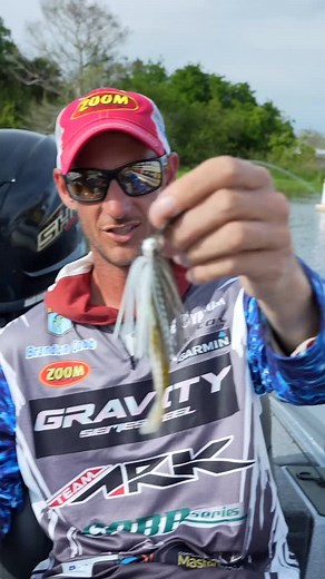 The Shimmer Shad on a bladed jig - bass love ‘em #zoombait #shimmershad | Zoom Bait