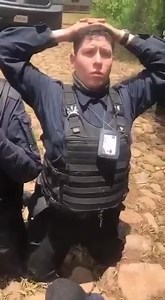 68K views · 702 reactions | #Locales | Policías admiten que hay nexos entre sus mandos y el cártel Circula en redes sociales este video donde un grupo paramilitar somete a 4 policías municipales e interroga a un elemento que confiesa que policías de Concepción de Buenos Aires y La Manzanilla de la Paz Jalisco ayudan a los 4 letras (CJNG) | Las Noticias en GDL | Facebook
