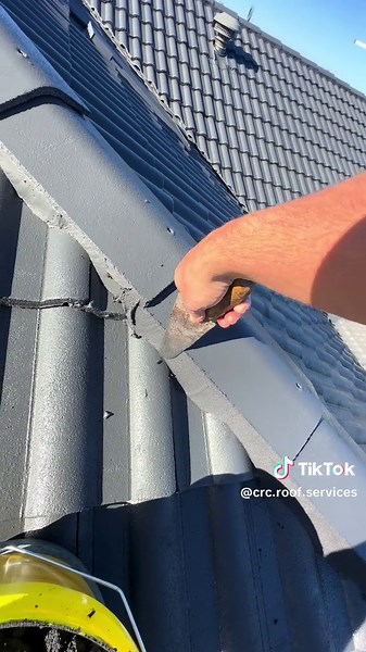 Roof Restoration Journey: Trowel Pointing Insights
