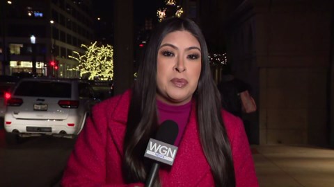 Magnificent Mile Lights Festival and Parade returns to downtown Chicago for 34th year