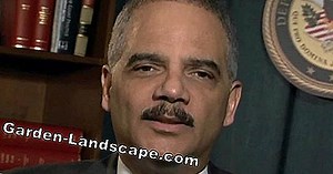 Plants: Fight Boxwood Manure - My Beautiful Garden | 2025