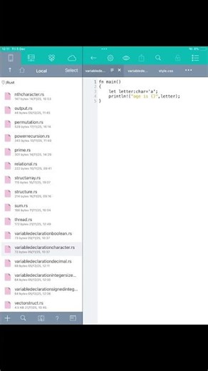 Variable declaration character program rust