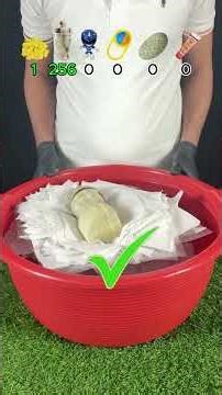 Float or Sink? Will This Item Stay on Tissue?