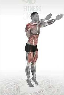 BURPEES MUSCULOS IMPLICADOS | COMO HACER BURPEES CORRECTAMENTE