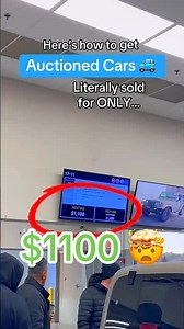 How to buy cars for cheap at dealer auctions