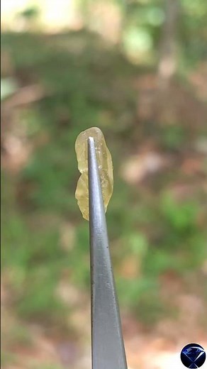 Natural Yellow Sapphire Rough Stone | Rare Uncut Gemstone Beauty ✨💛