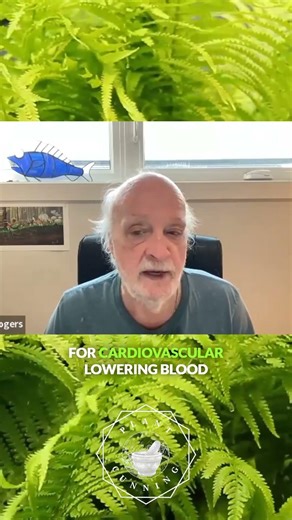 a whole new world of medicinal ferns