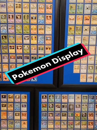 Pokemon Collection Display Showcase