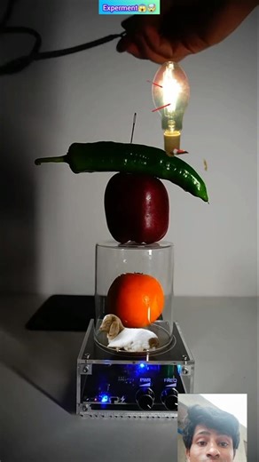 Fun Ideas and Amazing Experiments.#fact #respect #fact #tending @MrBeast