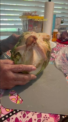 What's actually inside old lettuce? #satisfying #asmr #shorts