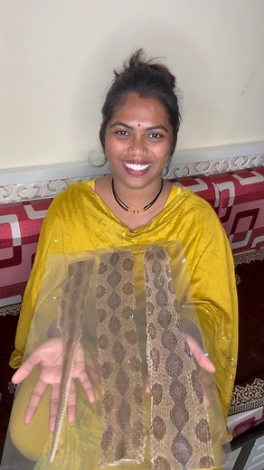 509K views · 17K reactions | थंडी मध्ये सर्वात जास्त घोणस सापाचा वावर तर आपण या सापापासून काय काळजी घेतली पाहिजे पाहा या व्हिडिओ मध्ये Sarpmitra Nita Gajare #animals #girlpower #girls #indian #OMG #virals #life #home #trendingpost #virals #videoviral #popular | Sarpmitra Nita Gajare | Facebook