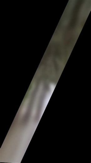 ‏#عمري_مانساك💔 #😭😭😭😭😭💔💔💔💔