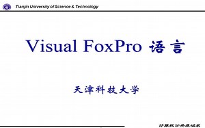 Visual Foxpro 语言
