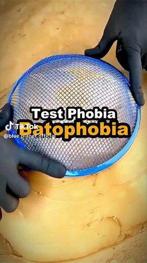 Overcoming Batophobia: Discover Your Fear and Take the Test!